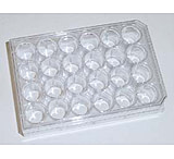 BD Falcon™ Sample Containers, Polypropylene, Sterile