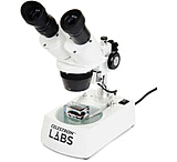 Carson MM-380 MicroMini HookUpz, 20x Microscope with Smart Phone Clip - New  York Microscope Company