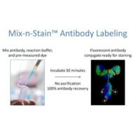 92241 - Cf??750 Mix-n-Stain?? Antibody Labeling Kit - Mix-n-Stain Antibody Labeling Kits, Biotium - Each