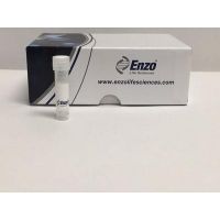 Enzo Life Sciences